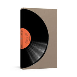ISBN A Record of My Vinyl