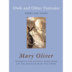 ISBN Owls and Other Fantasies, Paperback, 88 pages