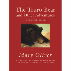 ISBN The Truro Bear and Other Adventures, Paperback, 96 pages
