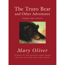 ISBN The Truro Bear and Other Adventures