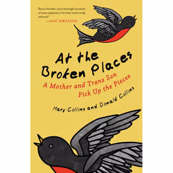 ISBN At the Broken Places, Paperback, 192 pages