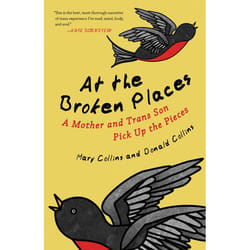 ISBN At the Broken Places