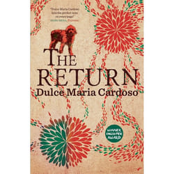 Hachette UK The Return book English Paperback 272 pages