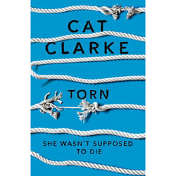ISBN Torn book English Paperback 372 pages
