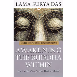 ISBN Awakening The Buddha Within, English, Paperback, 496 pages
