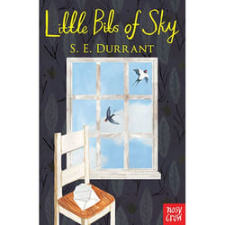 Allen & Unwin Little Bits of Sky book English Paperback 256 pages