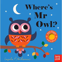 Allen & Unwin Where's Mr Owl? (Felt Flaps), English, 12 pages