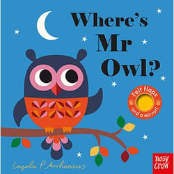 Allen & Unwin Where's Mr Owl? (Felt Flaps) book English 12 pages