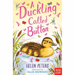 Allen & Unwin A Duckling Called Button, English, Paperback, 144 pages