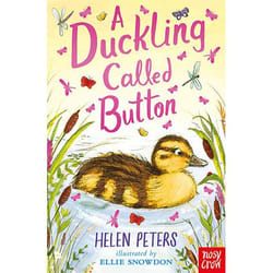 Allen & Unwin A Duckling Called Button book English Paperback 144 pages