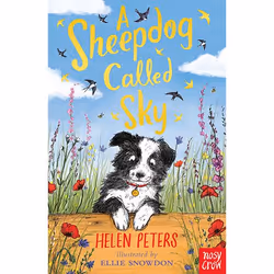 Allen & Unwin A Sheepdog Called Sky, English, Paperback, 144 pages