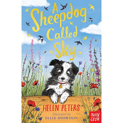 Allen & Unwin A Sheepdog Called Sky book English Paperback 144 pages