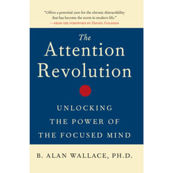 ISBN The Attention Revolution