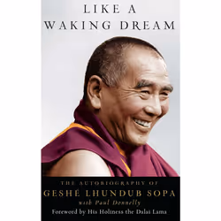 ISBN Like a Waking Dream, English, Hardcover, 368 pages
