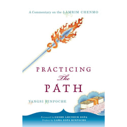 ISBN Practicing the Path