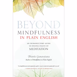 ISBN Beyond Mindfulness in Plain English, English, Trade Paperback, 240 pages