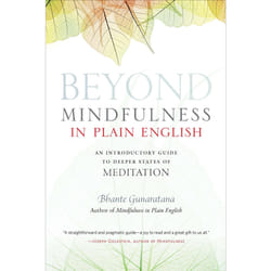 ISBN Beyond Mindfulness in Plain English