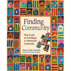 New Society Finding Community book English Paperback 264 pages