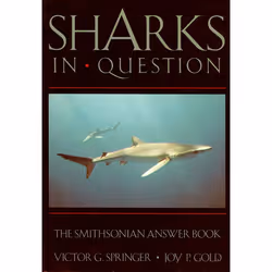 ISBN Sharks in Question, Paperback, 192 pages