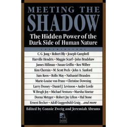 ISBN Meeting the Shadow