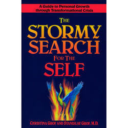 ISBN The Stormy Search for the Self