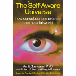 ISBN Self Aware Univer C, Paperback, 336 pages