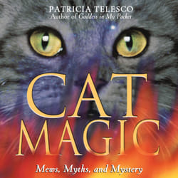 ISBN Cat Magic