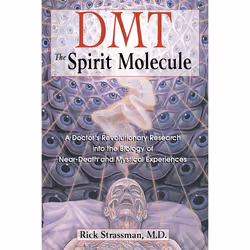 ISBN DMT: The Spirit Molecule, English, Trade Paperback, 384 pages