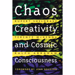 ISBN Chaos, Creativity, and Cosmic Consciousness, English, Paperback, 208 pages