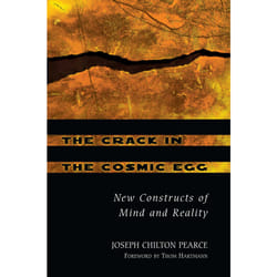 ISBN The Crack in the Cosmic Egg