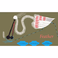 ISBN Feather, English, Hardcover, 48 pages