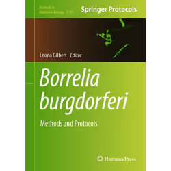ISBN 9781071635605, English, Hardcover, 280 pages