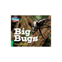 Big Bugs Green Band by Llewellyn & Claire