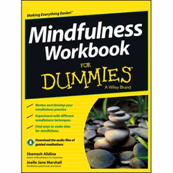 ISBN Mindfulness Workbook For Dummies, English, Paperback, 328 pages