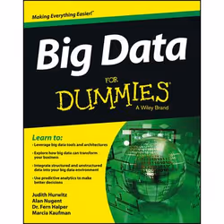 ISBN Big Data For Dummies, English, Paperback, 336 pages