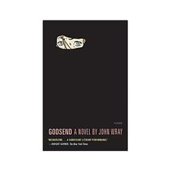ISBN Godsend book General novel English 239 pages
