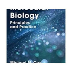 ISBN Molecular Biology : Principles And Practice book Science & nature English Hardcover
