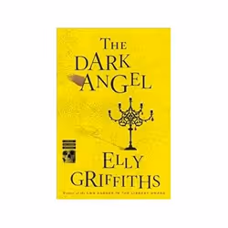 ISBN Dark Angel, Crime fiction, English, 368 pages