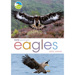 ISBN RSPB Spotlight: Eagles book English Paperback 128 pages