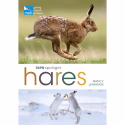 ISBN RSPB Spotlight Hares, English, Paperback, 128 pages