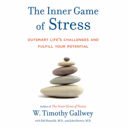 ISBN The Inner Game of Stress, Hardcover, 240 pages