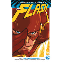 ISBN The Flash Vol. 1: Lightning Strikes Twice (Rebirth) book English Paperback 216 pages