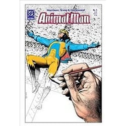 ISBN Animal Man by Grant Morrison One 30th Anniversary: Deluxe Edition book Comics & graphic novels English Hardcover 368 pages
