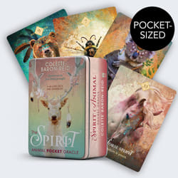The Spirit Animal Pocket Oracle cards with tin box Hay House