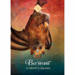 The Spirit Animal Pocket Oracle cards with tin box Hay House