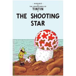 ISBN The Shooting Star