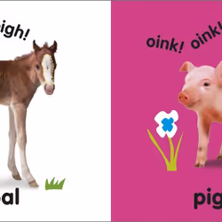 ISBN Baby Touch and Feel Baby Animals book Children & teenagers English Hardcover 14 pages