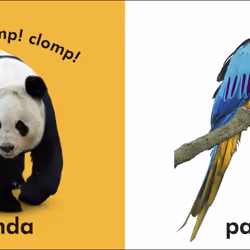 ISBN Baby Touch and Feel Wild Animals book Children & teenagers English Hardcover 14 pages