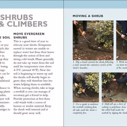 ISBN RHS Gardening Month by Month book House & garden English Paperback 560 pages