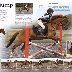 ISBN How To...Horse Riding book Children & teenagers English Hardcover 64 pages